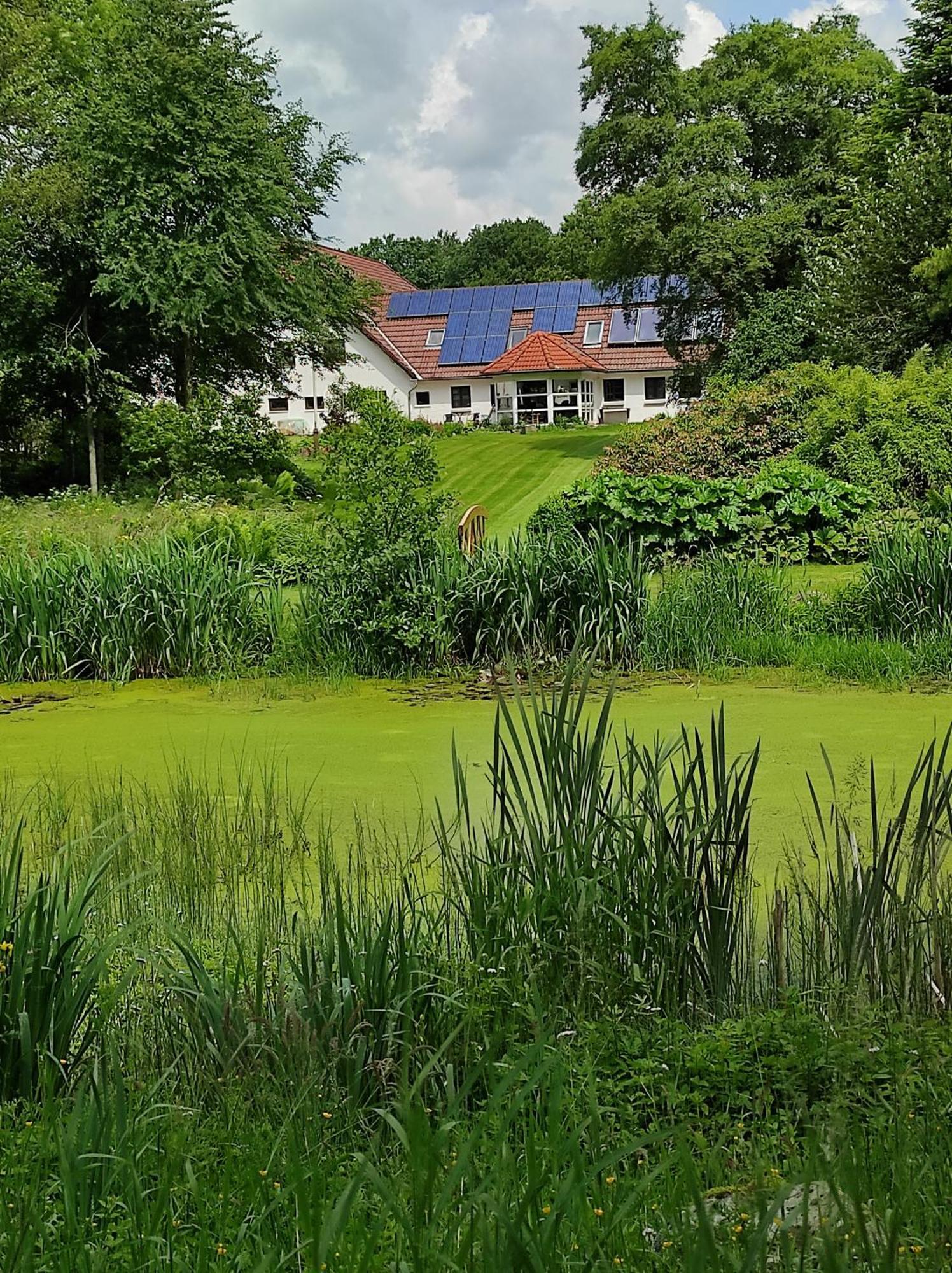 Bed and Breakfast Emily'S Garden Lintrup Екстер'єр фото