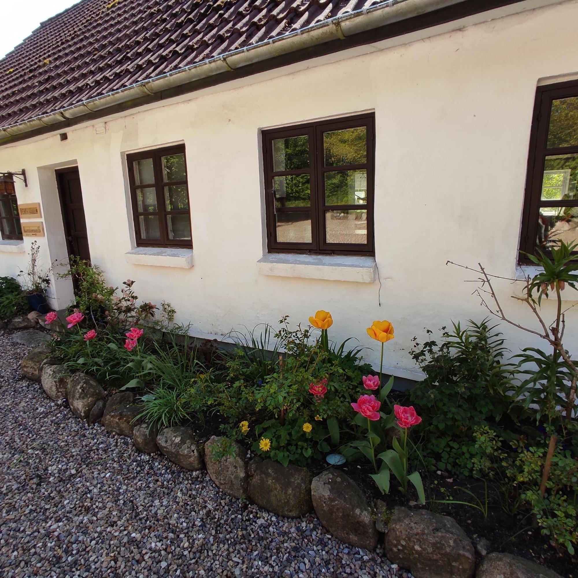 Bed and Breakfast Emily'S Garden Lintrup Екстер'єр фото